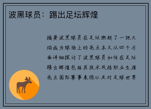 波黑球员：踢出足坛辉煌