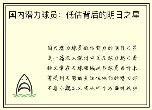 国内潜力球员：低估背后的明日之星